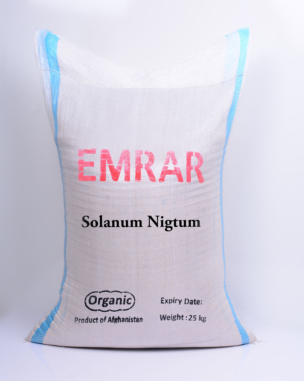 Thumbnail: Solanum Nigrum