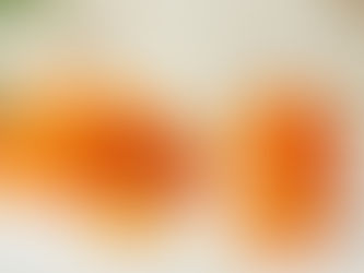 How Sea Buckthorn Jam and Gummies Boost Immunity & Energy?