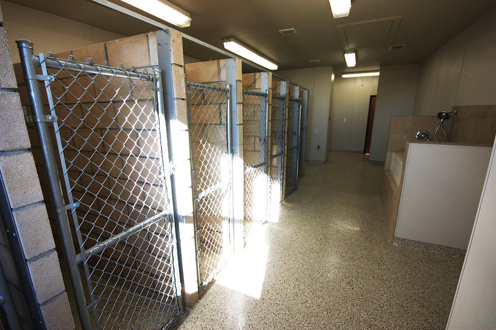 KENNELS / RUNS