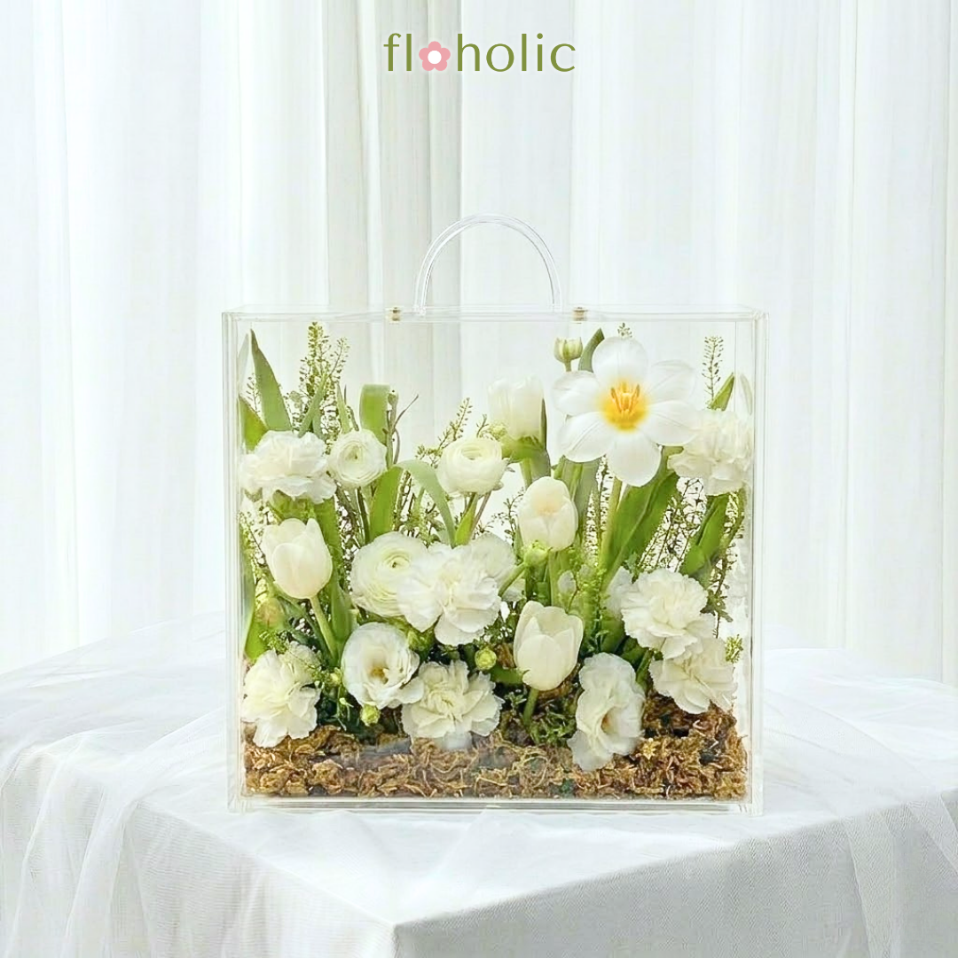 Hộp hoa tulip thuần khiết