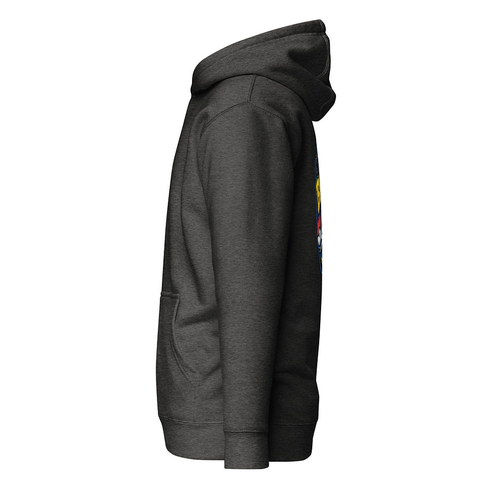 Thumbnail: BBNS HOODIE 2026