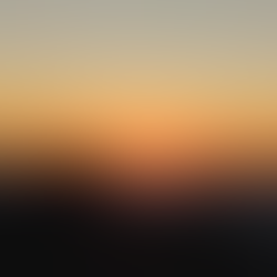 Gustavo Ferreira da Silva