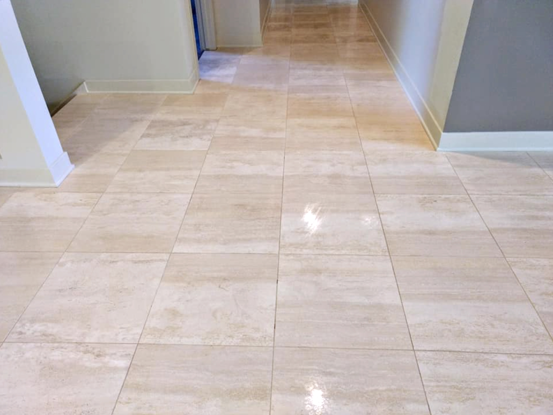 West Michigan Carpet Cleaning Rockford Carpet Cleaning Grand Rapids