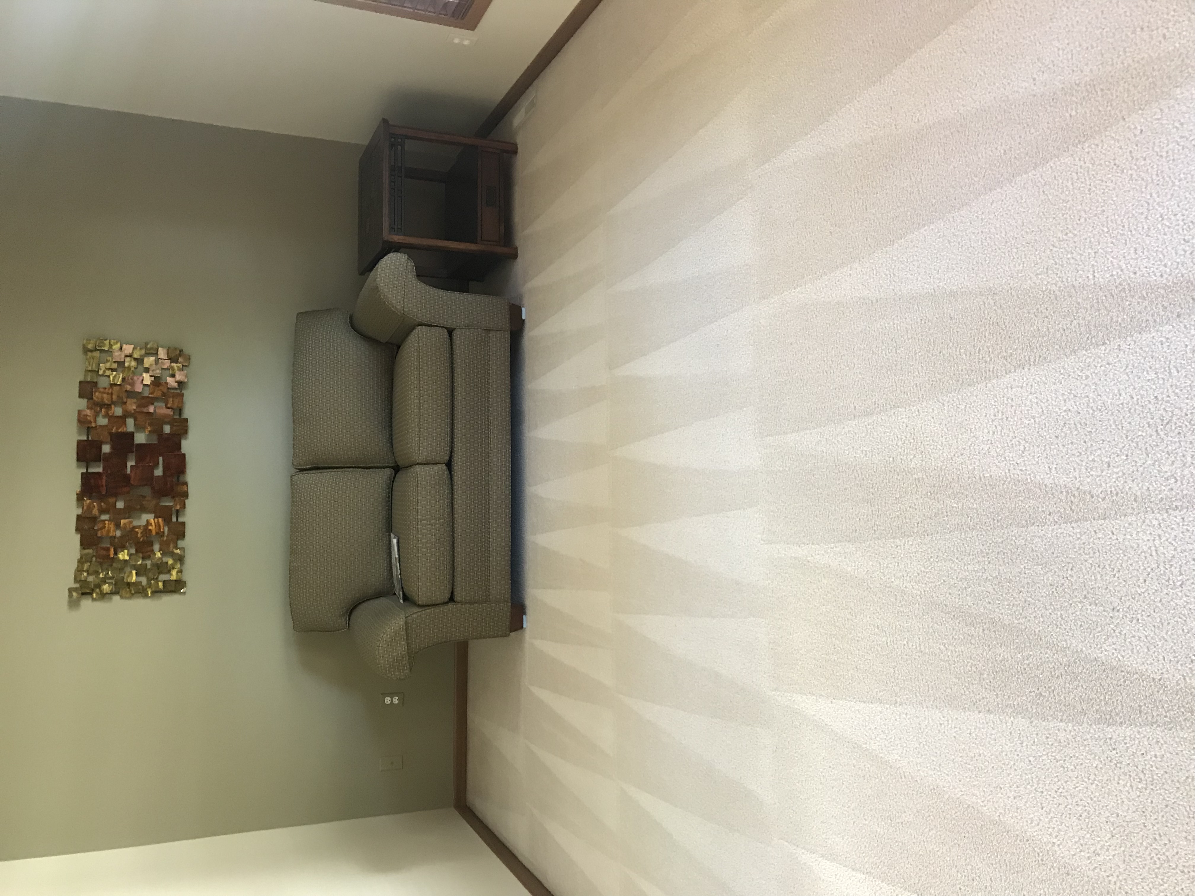 West Michigan Carpet Cleaning Rockford Carpet Cleaning Grand Rapids Rug Clea