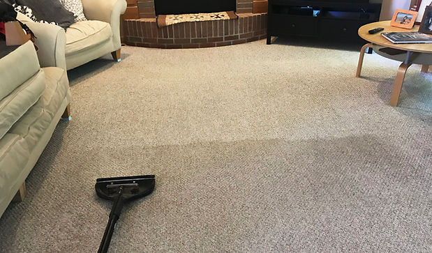 Carpet Cleaning Services in West Michigan
