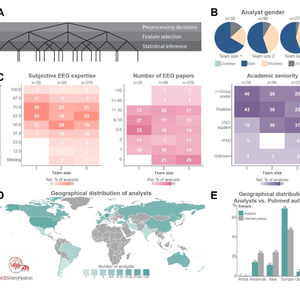 EEGManyPipelines: A large-scale, grass-root multi-analyst study of EEG analysis 