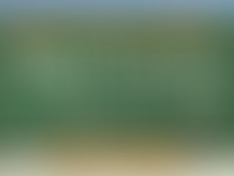 Το μέλλον!!!