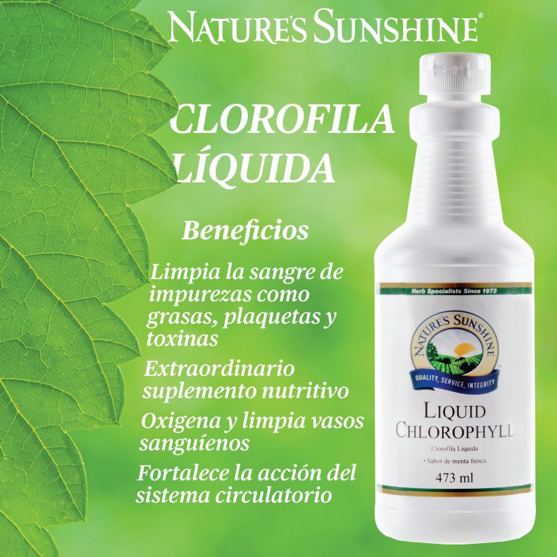 Clorofila Liquida