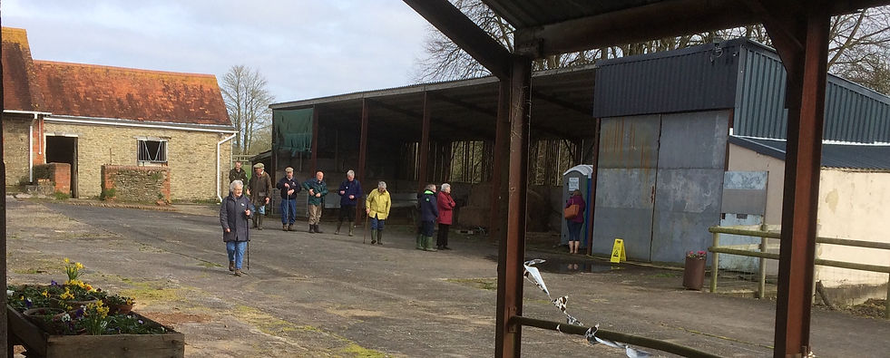 Stokehill Advanced level Biology fieldwork