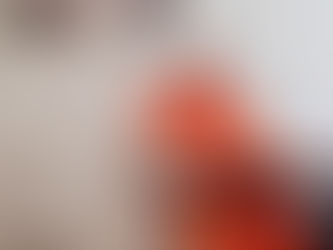 Friday 22nd April - Special guest HH Janananda Goswami Maharaj