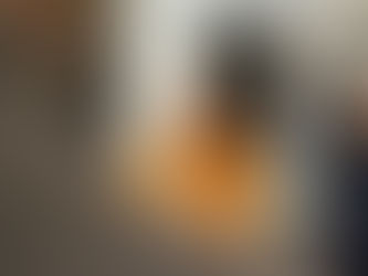 Friday 10th February - Special guest - HH Dayananda Swami