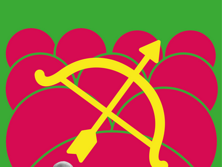 Friday 8th April - Rama Navami with HH Dayananda Swami