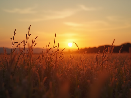 Connecting with Loved Ones: The Power of Mediumship