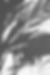 wall_shadow.jpg