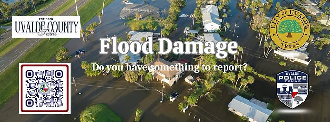 FLOOD DAMAGE RPT LOGO.jpg