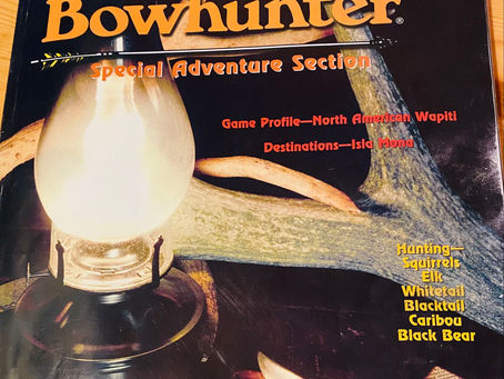 Return of the Little Delta Bow