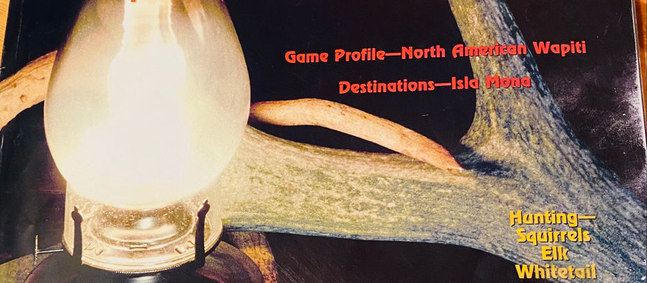 Return of the Little Delta Bow