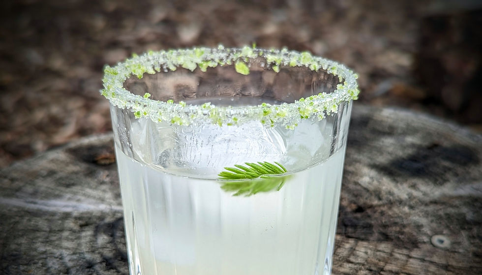 Spruce Tips? Three Recipes to Enjoy This Wonderful Taste of Spring!