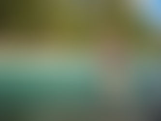 Fly Fishing Beginner's Guide: John Schneider's Advice for Starting Out