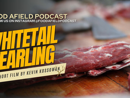 John's Fawn - Whitetail Venison Success!