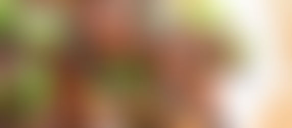 Mongolian Goose - A Waterfowl Recipe