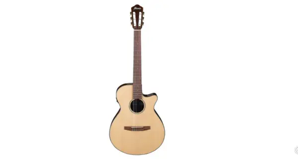 GUITARRA ELECTROA IBANEZ AEG50N-NT NYLON
