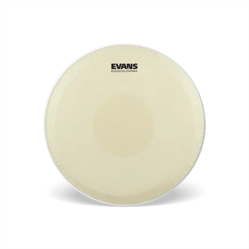 Parche Evans De Tumba 12.50 (lp) Ec1250