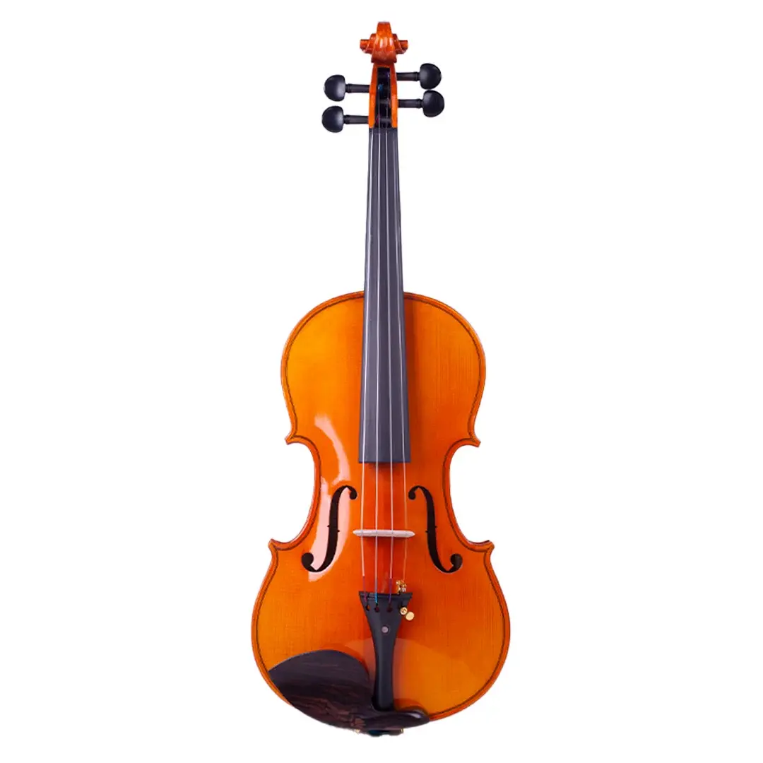 Violín 4/4 Premier Aristton