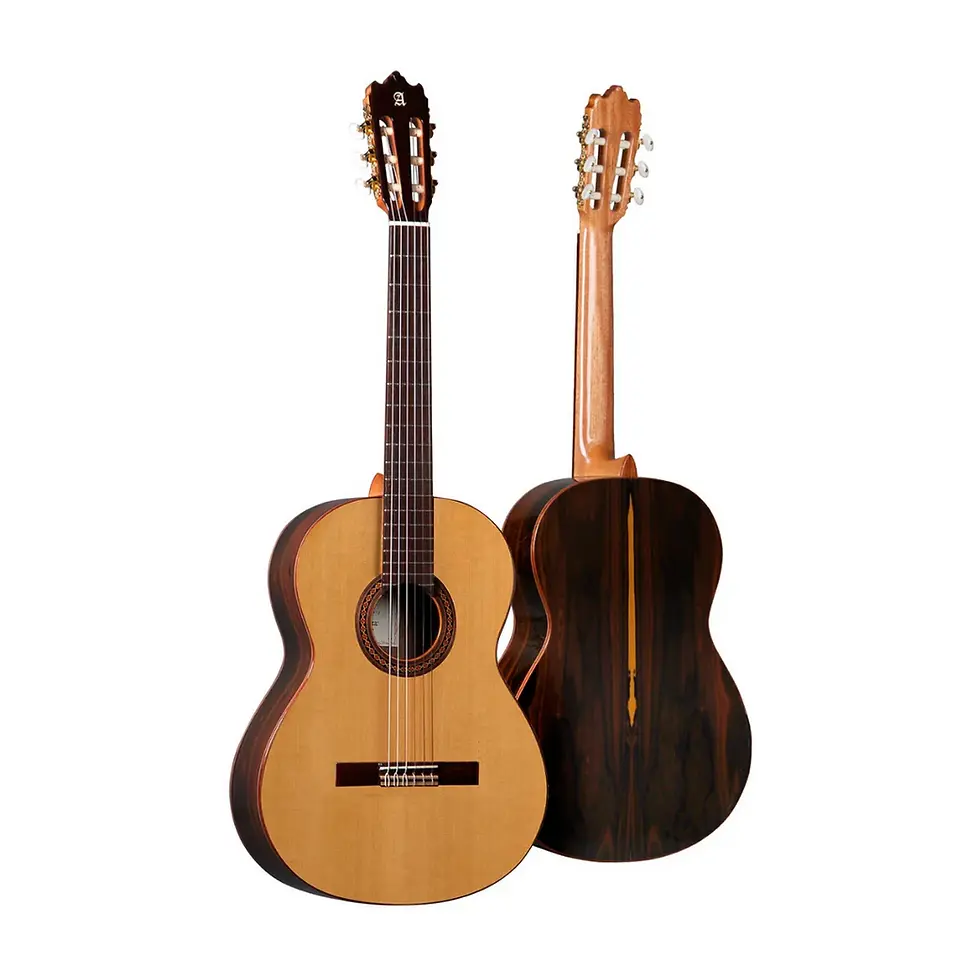 Miniatura: GUITARRA ALHAMBRA CLASICA IBERIA ZIRICOTE