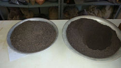 1(Terra quixabeira) 2( Solo UEFS)