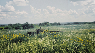 Tank hidden in a field of tall grass and yellow flowers