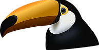 toucan 1.png