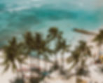 pexels-jess-vide-4602224.jpg
