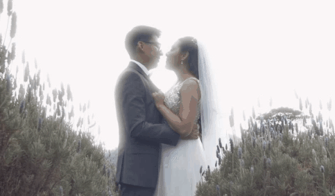 09. PREMIUM C (1).gif