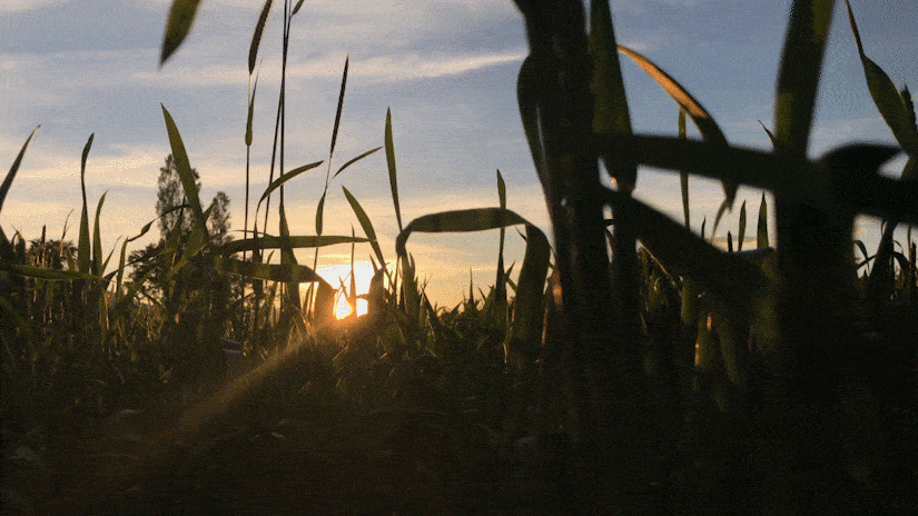 DOCUMENTAL-min.gif