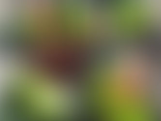 Paniers d'Automne pour le loto des écoles !