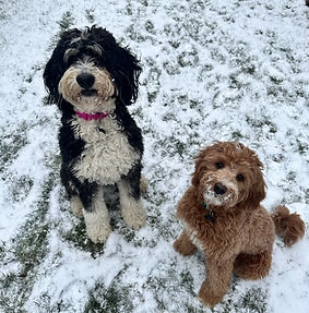 Lady and Louie .jpg