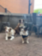 Brewery Trip at Leaning Cask