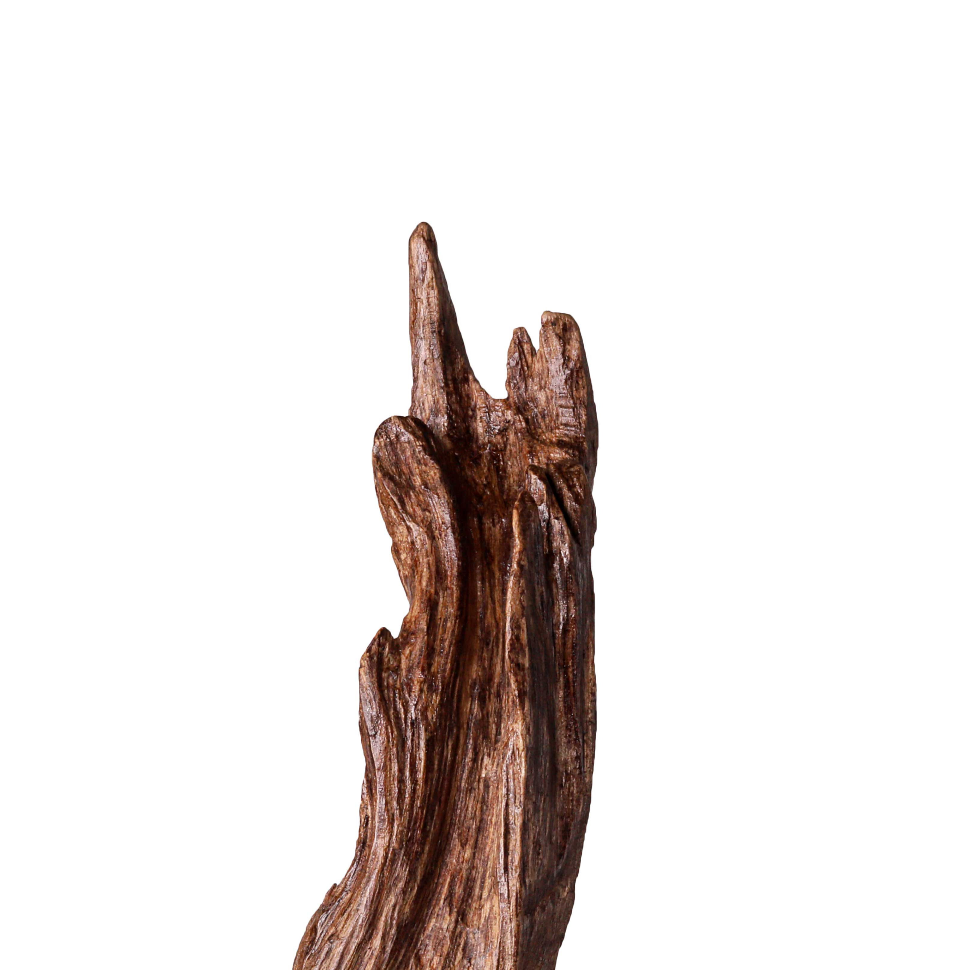 1855 Malaysian Double Super