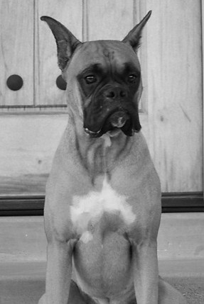 vanblackwhitename (1)_edited.jpg