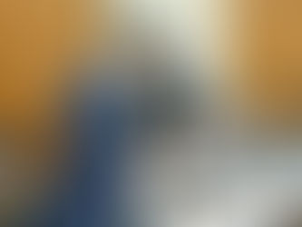 1月24日 参議院厚生労働委員会(閉会中審査)で質問しました。