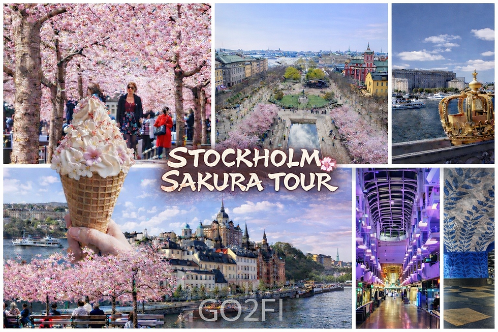 From Vikings to Samurai  Stockholm Sakura Blossom Cruise from Helsinki