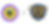 ESAL + District 9 Color.png