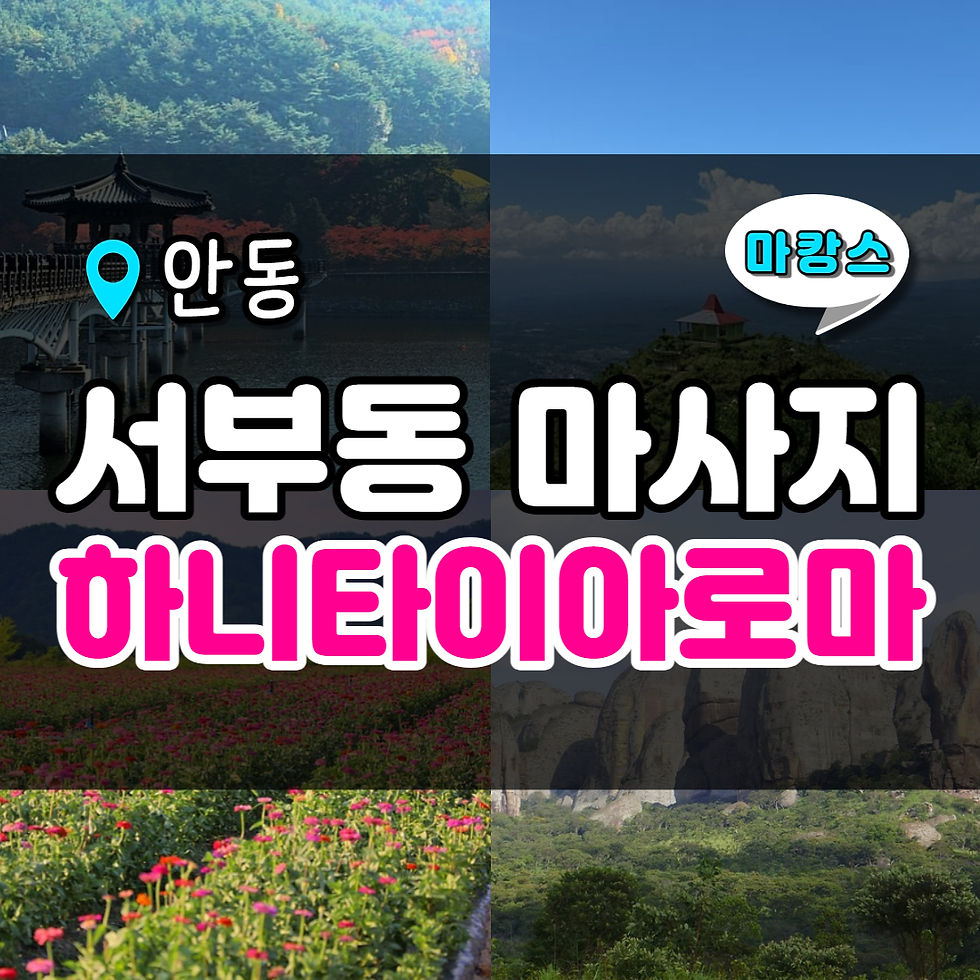 안동 서부동 하니타이아로마