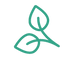 leaf_gree-08_edited.png