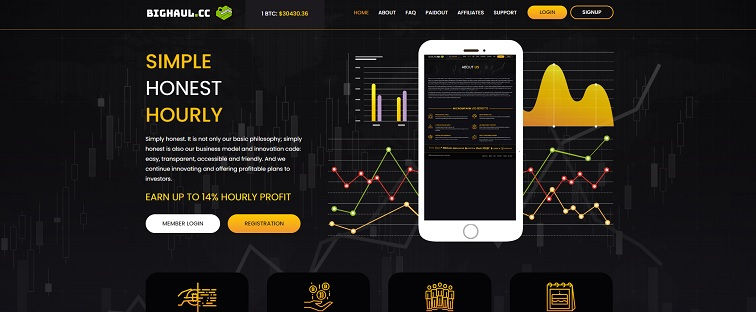 bighaul.cc, hyip site review, payouts, comments, hyip blog, hyip project reviews, make money online