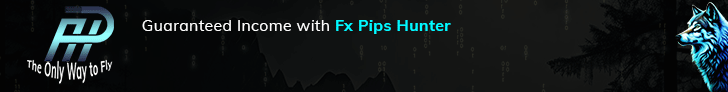 fxpipshunter.net,paying hyip,comments,payouts,hyip blog review