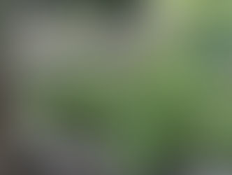 Can This Virus Grow Gardeners?