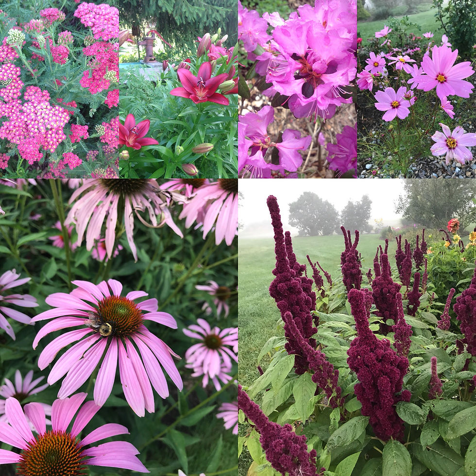 Thumbnail: One on One Landscape Gardening Workshop