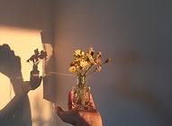 20201219_163037.jpg